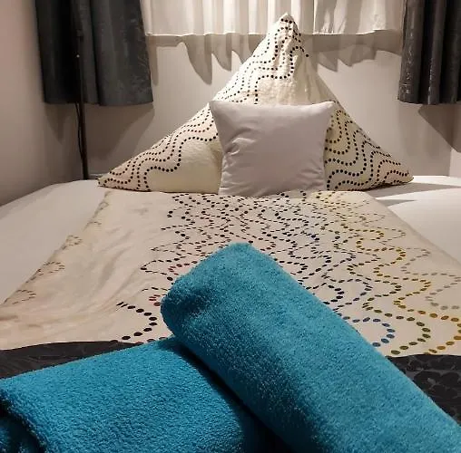 Titi Classic & Trendy