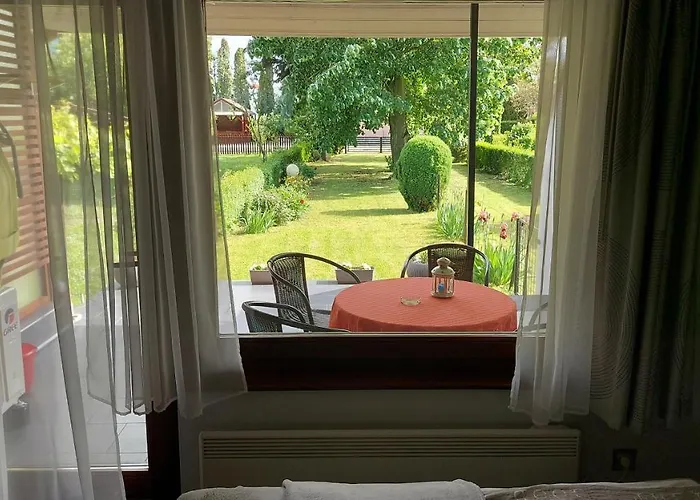 Titi Classic & Trendy *