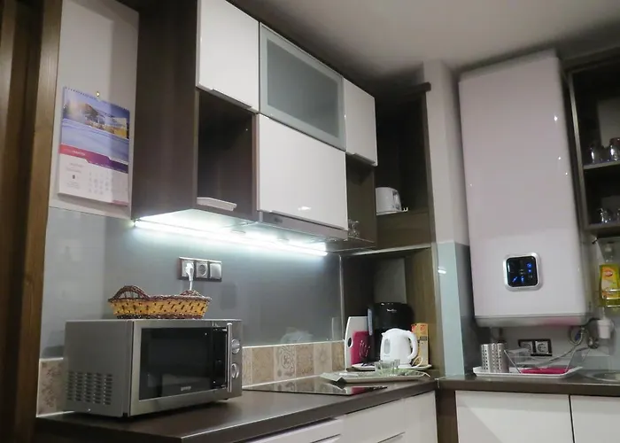 Titi Classic & Trendy