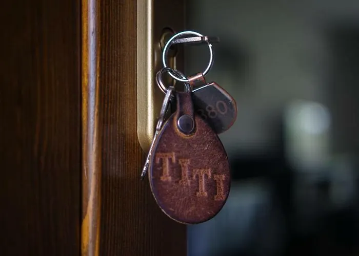 Titi Classic & Trendy